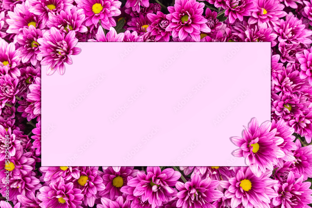 Beautiful purple flower and pink pattern background (design flower background) Beautiful purple flower and pink pattern background (design flower background)