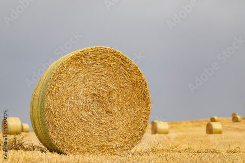 Bala redonda de heno (paja) en un campo recién cosechado (junio primavera verano). Agrícola, agricultura.
