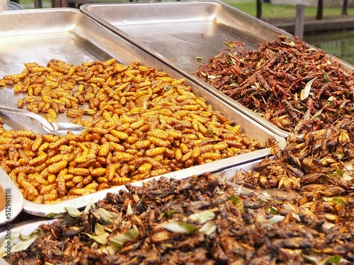 fried silk worm as snack in asia countries, local food snacks that are high in protein and fried insects are popular food paired © Tanan