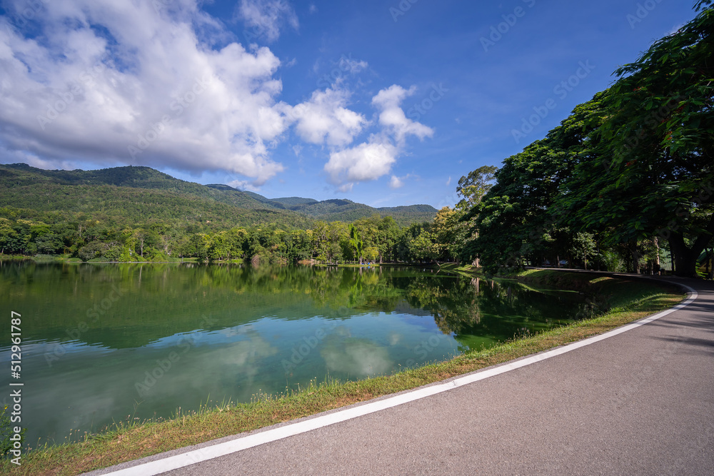 View of pond and trees with mirror reflection in calm water surface and clear blue sky background. Ang kaew is a public resting place in Chiang Mai University, Thailand