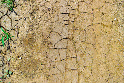 Canvas Print Dry soil texture and background
