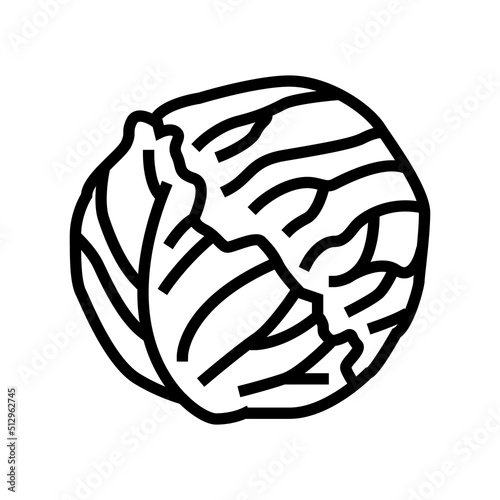 red cabbage line icon vector. red cabbage sign. isolated contour symbol black illustration