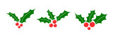 Holly berry Christmas vector icons, season decoration set, winter plants. Holiday illustration. mistletoe. 