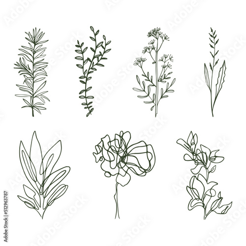 One Line Drawing Set Of Plants Black Sketch of Flowers Isolated on White Background. Flowers One Line Illustration. Minimalist Prints Set. Vector. Modern Single Line Art, Aesthetic Contour.