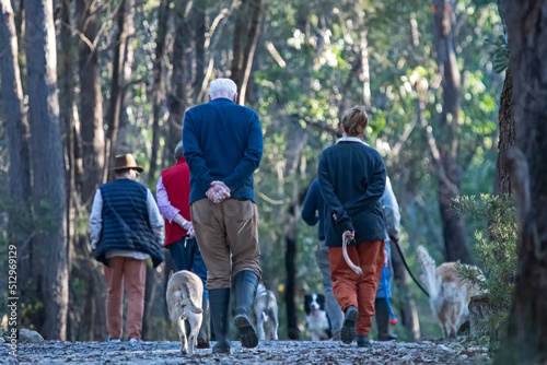 Group walking the dogs