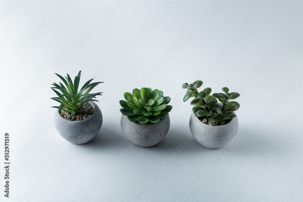 small flowers in concrete pots on a light concrete background. Concrete pots minimal style. succulent plants and cactus in modern geometric concrete planters with copy space. small flowers in concrete pots on a light concrete background. Concrete pots minimal style. succulent plants and cactus in modern geometric concrete planters with copy space.