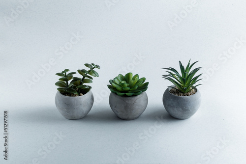 small flowers in concrete pots on a light concrete background. Concrete pots minimal style. succulent plants and cactus in modern geometric concrete planters with copy space.
