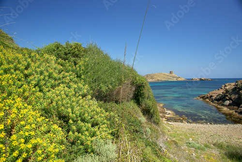 Cala Tamarells.Parc natural de s' Albufera des Grau.Menorca.Reserva de la Bioesfera.Illes Balears.España. photo