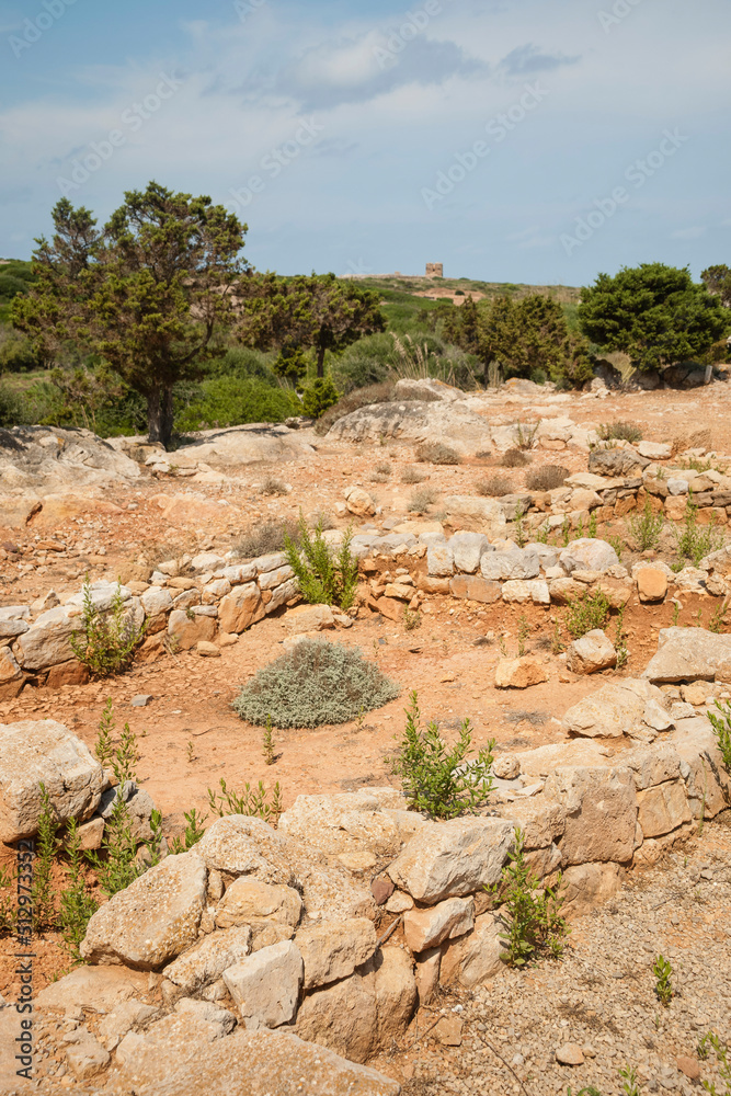 Yacimiento arqueologico. Sa Nitja.  (2011). Menorca. Balearic Islands. Spain.