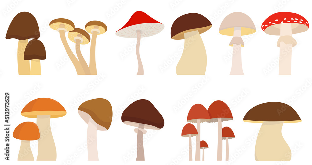 mushrooms set in flat design, isolated vector mushrooms set in flat design, isolated vector