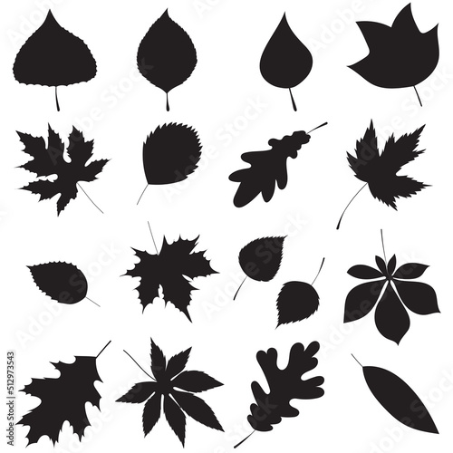 leaves set silhouette on white background  isolated  vector