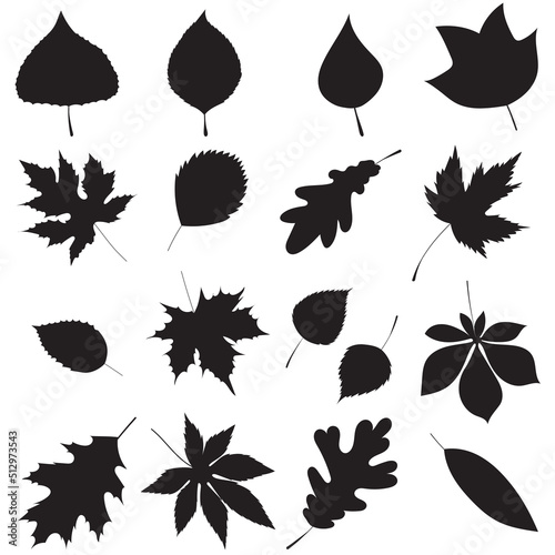leaves set silhouette on white background, isolated, vector