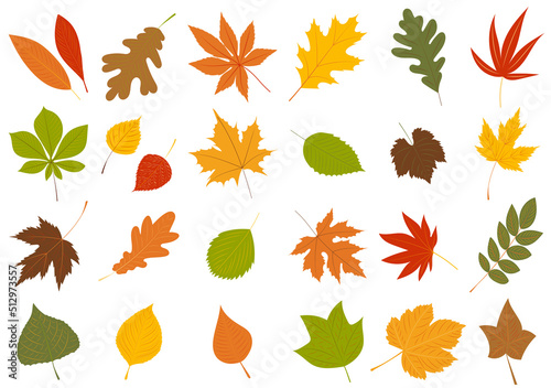 autumn leaves set in flat design, isolated
