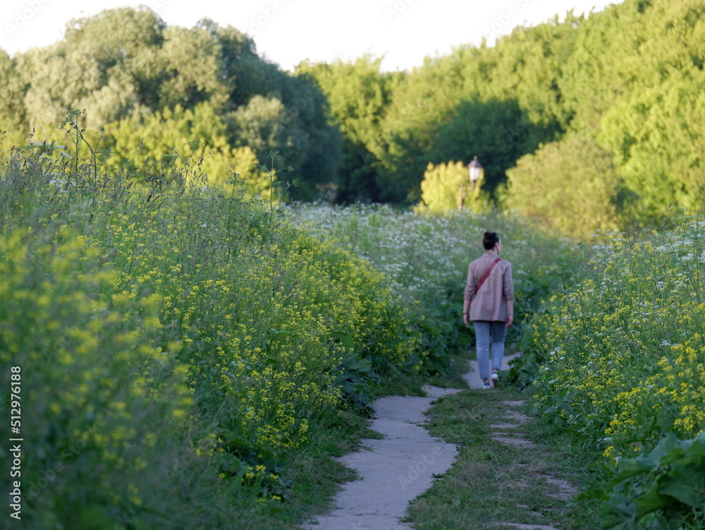A girl walks along a path in the middle of a luxuriously blooming meadow.