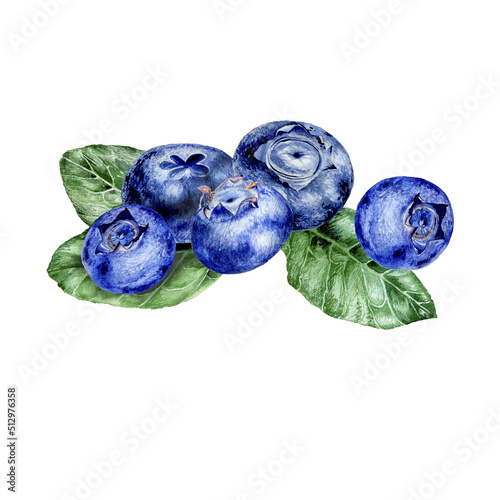 Watercolor illustration of blueberries on white background photo