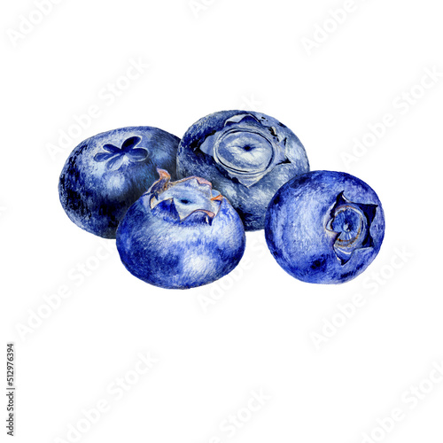 Watercolor illustration of blueberries on white background