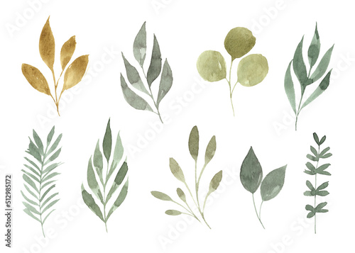 Hand painted watercolor greenery collection isolated on white
