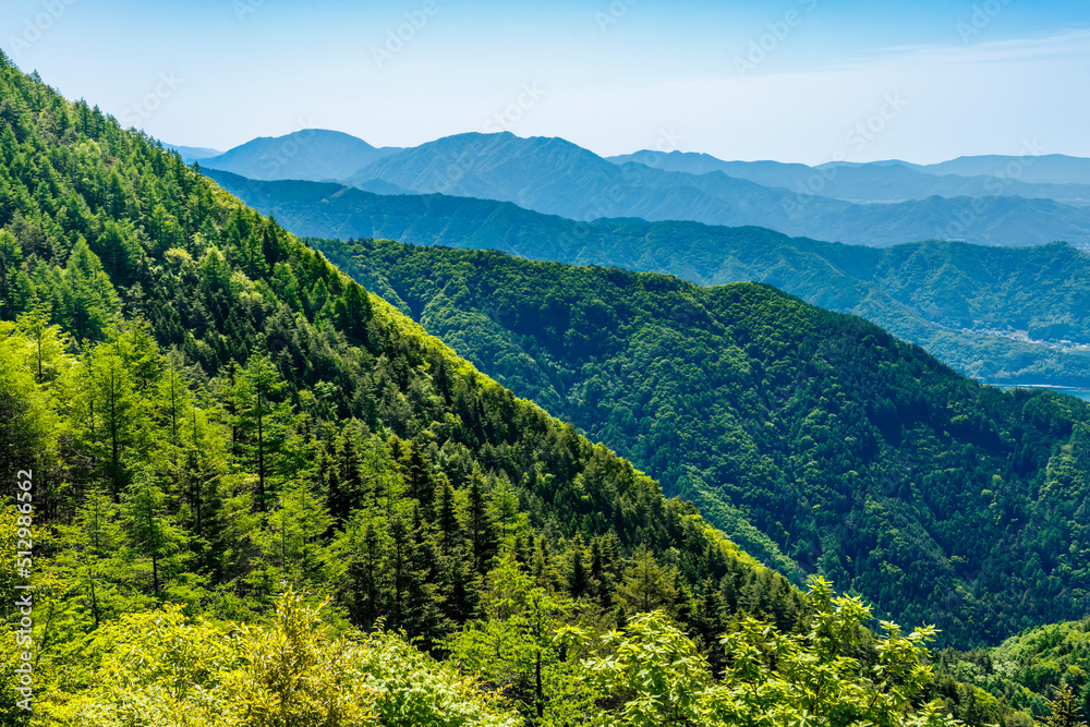 新緑が綺麗な木と遠くに見える山脈