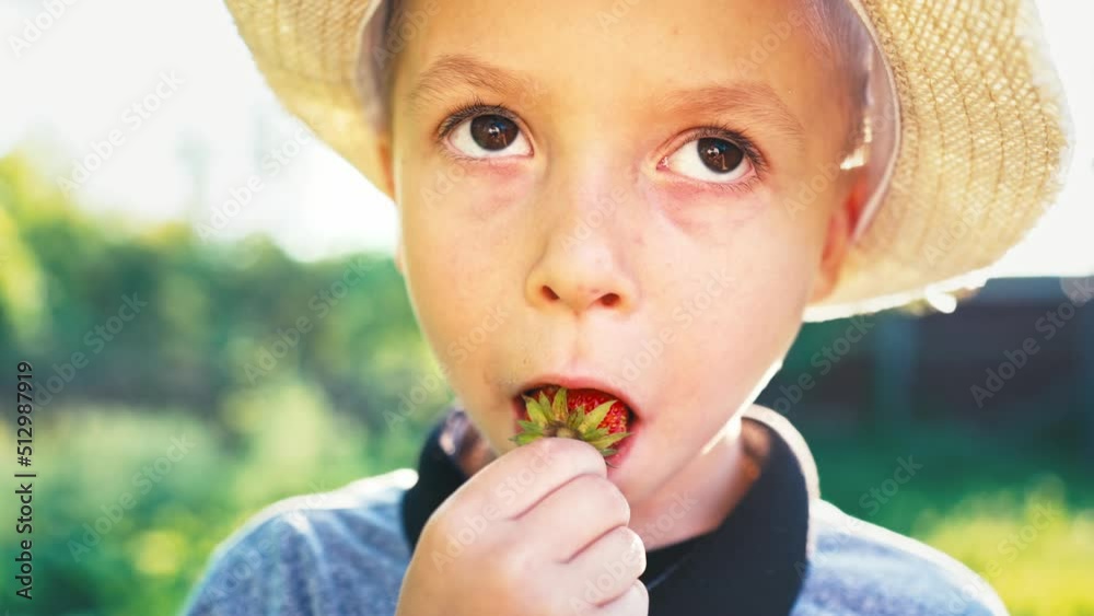 Close-up of face of boy child eating freshly picked strawberries in forest. Outdoor summer walk in nature. Kid in straw sun hat. Healthy and vegan nutrition natural products with vitamins. Harvest.