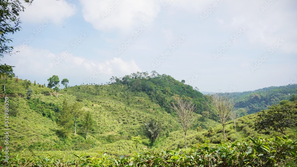 beautiful natural landscape mountains hilly nature panorama, with forest of tall green trees and green slopes under cloudy blue sky in daytime