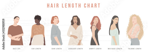 A set of illustrations of women with different hair lengths. Chart of hair length for haircuts and hairstyles.