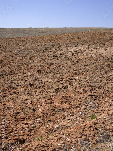 Fallow, chestnut soil, humus-accumulated horizon
