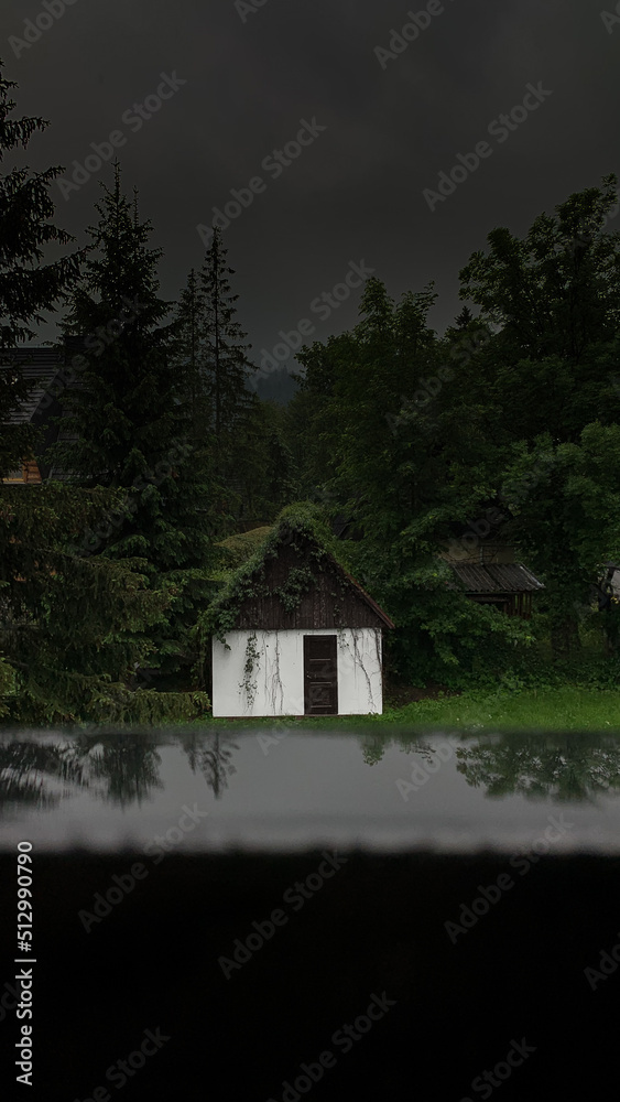Fototapeta premium house on the lake