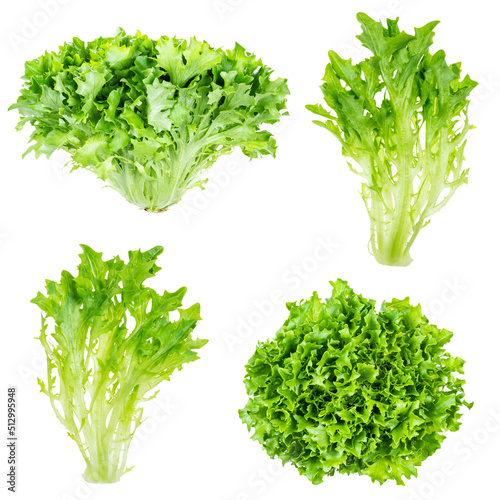 Tableau sur toile various fresh endive lettuces cutout on white