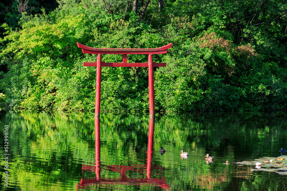 red japanese torii - gate reflected in the water of a lake