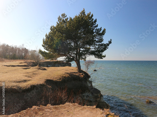 The Baltic Sea beach in Estonia photo