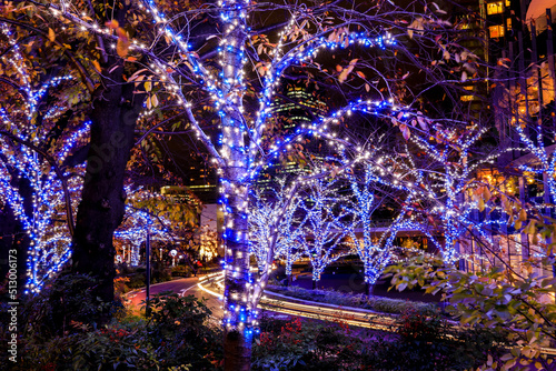 Tokyo Japan on December 6 2019  Garden Illumination  at Tokyo Midtown during Christmas Festival .
