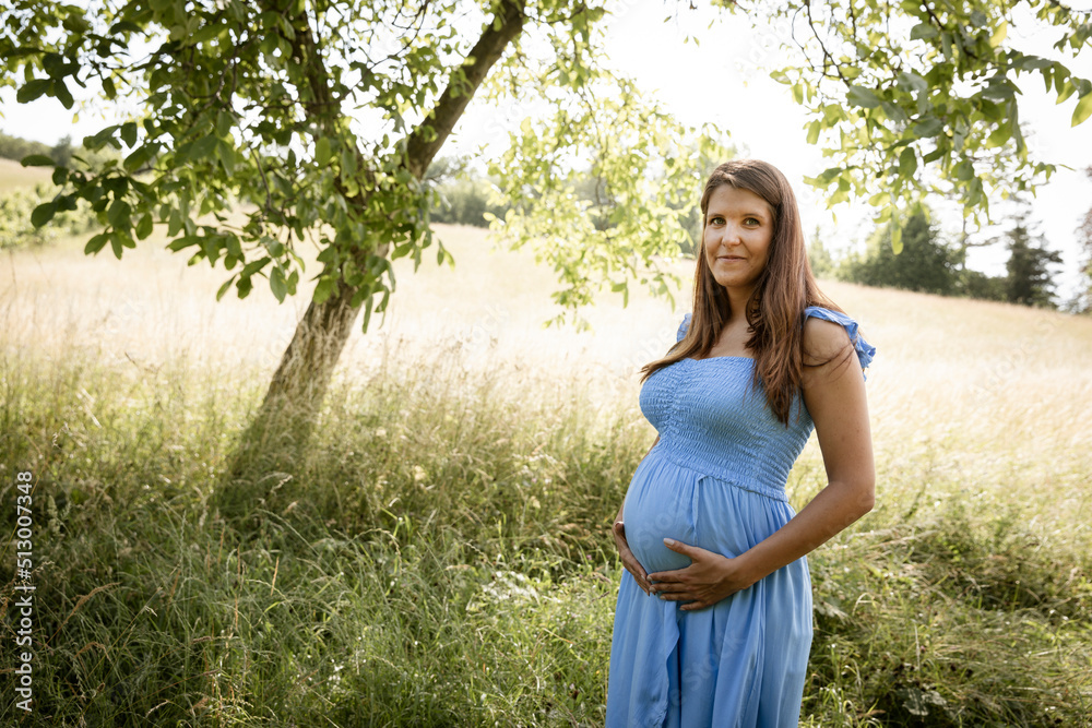 pretty young pregnant woman with black hair and blue dress stands on meadow next to tree in summer pretty young pregnant woman with black hair and blue dress stands on meadow next to tree in summer
