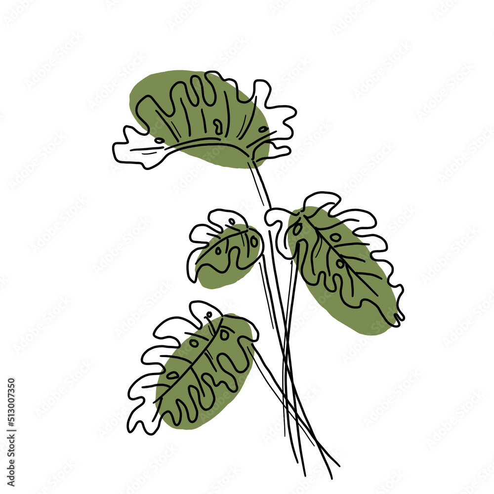 Fototapeta premium illustration of a plant