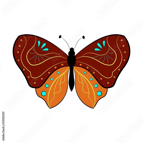 Butterfly exotic winged insect, vector illustration. Colored butterfly with large wings.