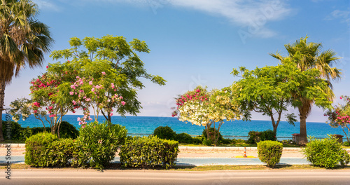 Beautiful resort promenade with blooming colorful oleanders and other trees against backdrop of Mediterranean Sea and blue sky. © Laura Pashkevich
