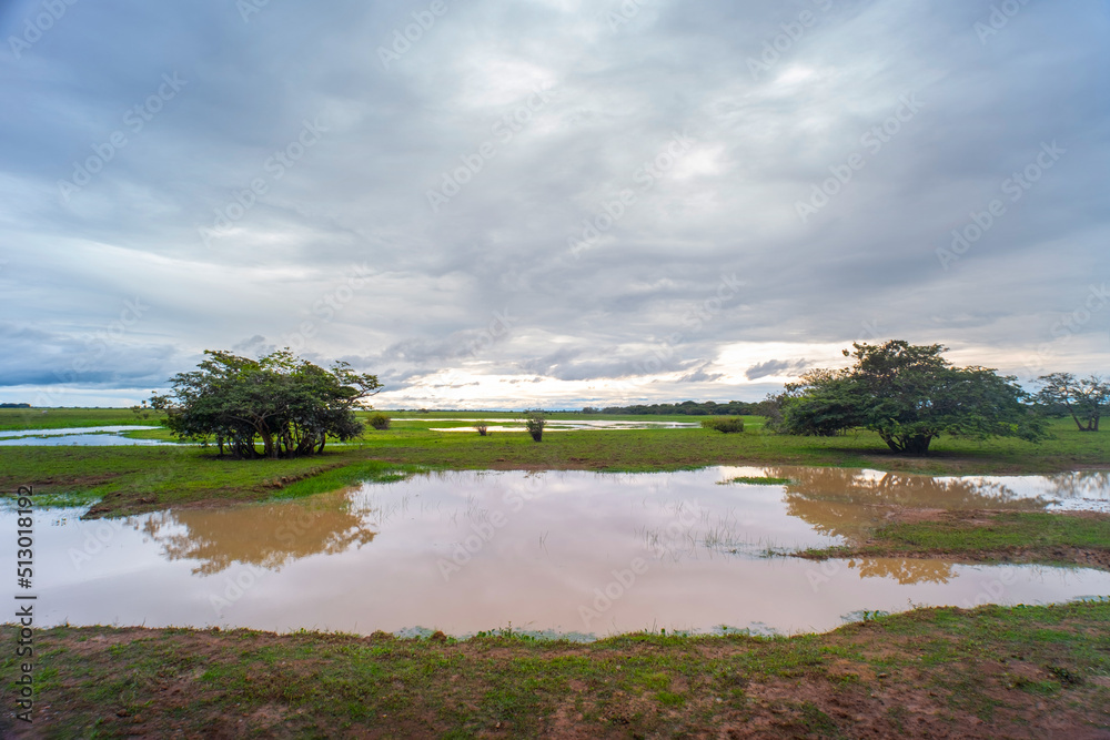 Paisaje natural de Laguna con cielo azul claro con prados verdes y árboles frondosos Paisaje natural de Laguna con cielo azul claro con prados verdes y árboles frondosos