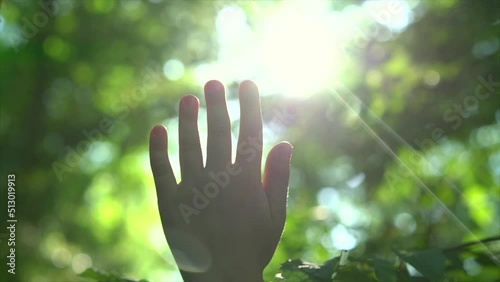 Child's hand touching sun reaching for sunlight breaking through lush green foliage in the woods. Hands of happy boy catching sunshine in forest. People in nature concept, safe earth, green planet. 