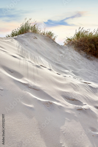 Fototapeta Naklejka Na Ścianę i Meble -  Landscape of sand dunes on west coast of Jutland in Loekken, Denmark. Closeup of footprints on surface texture in empty dessert with copyspace. Peaceful calm scenic to explore for travel and tourism