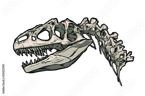  Dinosaur skeleton, Tyrannosaurus rex - vector illustration © Monster_Design