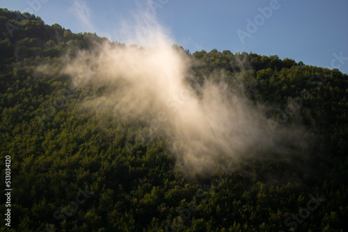 Clouds cascade down over the forest landscape on a beautiful summer day.