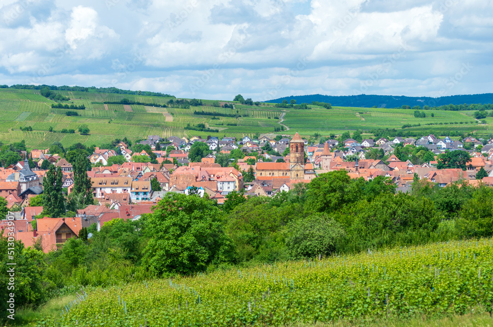 Rural landscape of Alsace in France. The small medieval town of Rosheim and its vineyard-covered hills.