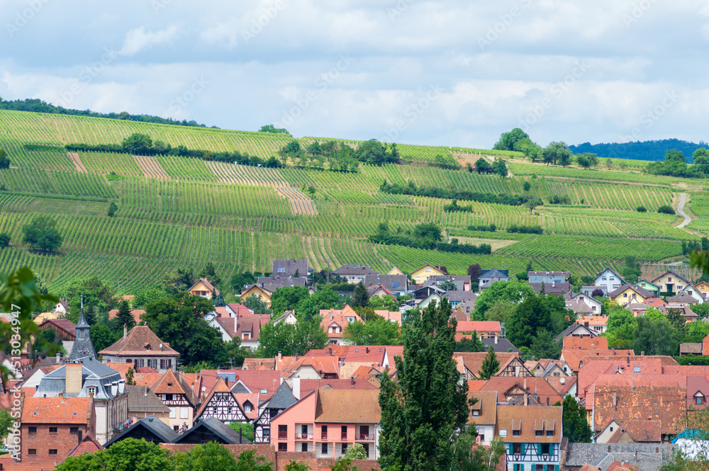 Rural landscape of Alsace in France. The small medieval town of Rosheim and its vineyard-covered hills. Rural landscape of Alsace in France. The small medieval town of Rosheim and its vineyard-covered hills.