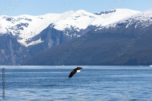 An eagle in flight, with mountains in the background.