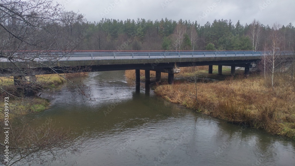 The river flows through the forest. In late fall in the forest, the trees stand leafless and reflected in the water. Above the river on stilts is a car bridge made of concrete with metal fences and as