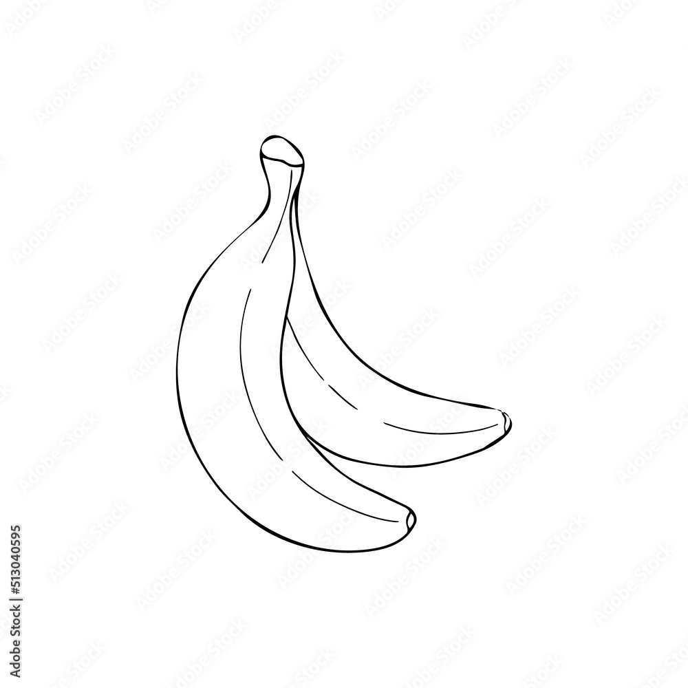 Black and white illustration of two bananas Black and white illustration of two bananas