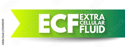 ECF Extracellular fluid - body fluid that is not contained in cells, acronym text concept background