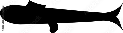 Set of cartoon fishes. Modern flat fishes, Isolated fish. Flat design fish. Vector illustration, fishes. fish collection.  