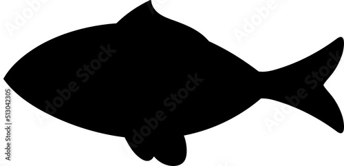 Set of cartoon fishes. Modern flat fishes, Isolated fish. Flat design fish. Vector illustration, fishes. fish collection.  