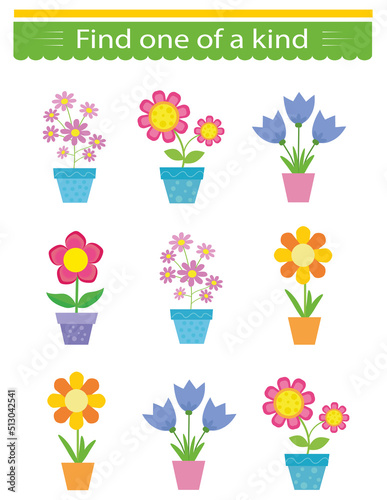Puzzle game for kids. Task for development of attention and logic. Need to find one of a kind flower pot. Visual intelligence. Vector illustration