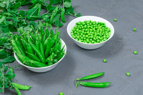 Two white bowls of fresh young green peas with stitches and peeled leaves on the background of shoots, sprigs of young green peas on a gray table. Close-up. Selective focus. Defocus.
